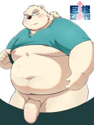 3:4 anthro belly big_belly big_dick_day big_penis blush bottomless clothed clothing clothing_lift eyewear flaccid fupa fur genitals glasses hi_res japanese_text leib_(tokyo_afterschool_summoners) lifewonders male mammal metaporin moobs navel overweight penis polar_bear shirt shirt_lift solo t-shirt text tokyo_afterschool_summoners topwear ursid ursine video_games white_body white_fur