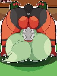 anal anal_sex animated anus ass balls bed big_balls big_butt bouncing_balls bouncing_bed bouncing_butt feral feral_penetrating feral_penetrating_semi-anthro floragato from_front_position gay generation_7_pokemon generation_9_pokemon genitals hazelninetales male male/male male_only mating_press nintendo on_bed penetration penis pixel pokemon pokemon_(species) pokemon_sv rough_sex semi-anthro semi-anthro_penetrated sex short_playtime torracat video_games white_anus white_penis