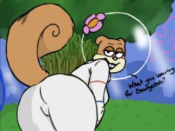 bending_over female furry inviting nickelodeon sandy_cheeks showing_ass spongebob_squarepants sporpex squirrel tail underwater