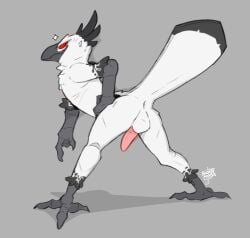 anthro anus ass avian backsack balls beak bent_over bird bird_feet erection feathers genitals grey_background hand_on_hip male penis presenting presenting_hindquarters scuted_arms scutes simple_background sodacaps solo tail_feathers white_body white_feathers