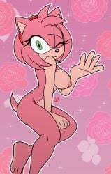 amy rose from sonic (series) by fever venus
