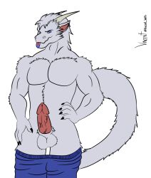 animal_genitalia anthro dragon fluffy genitals hi_res male muscular penis sheath solo vincent_wolfs white_body