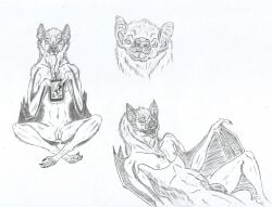 ambiguous_gender anthro bat_ears bat_nose bat_wings blood_bag chiropteran drinking eyegis-garr female flaccid genitals group lying male mammal membrane_(anatomy) membranous_wings microchiropteran monochrome neck_tuft penis phyllostomid pussy sitting sketch_page teeth_showing trio tuft vampire_bat wings yangochiropteran