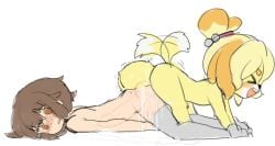 1boy 1futa ambiguous_gender animal_crossing animal_genitalia animal_penis anthro balls balls_deep big_balls big_penis blush bodily_fluids breasts brown_eyes canid canine canine_penis canis chaiko_(artist) chaiko_(chaikodog) clothing cum cum_inside deep_penetration domestic_dog duo erection femboy fur futa/ambiguous futa_is_bigger futa_on_male futa_penetrating futadom futanari genital_fluids girly hair huge_balls huge_cock human human_on_anthro internal intersex intersex/ambiguous intersex_penetrating interspecies isabelle_(animal_crossing) knot knotting larger_femboy larger_male legwear looking_pleasured male malesub mammal nintendo nude open_mouth penetration penis penis_size_difference pleasure_face rori_(artist) sex shih_tzu simple_background size_difference small_breasts small_but_hung small_dom_big_sub small_penis smaller_futa smile stockings tailwag thigh_highs toy_dog trap video_games yellow_body yellow_fur