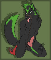 1boy 2011 anthro balls black bondage canine fur furry green knot lonewolf666 male male_only nude penis rope solo wolf