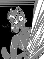 Breasts Rule 34 Image