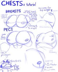 breasts educational filthyopossum muscular nipples pecs pentagon_(shape) tagme tutorial