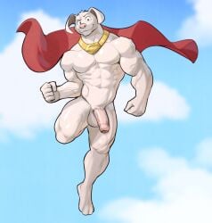 2022 abs anthro anthrofied barazoku barefoot belt bent_leg biceps big_muscles canid canine canis cape cape_only clothing cloud cloudscape collar day dc_comics domestic_dog eyebrows feet flying foreskin fur genitals hi_res humanoid_genitalia humanoid_penis jrjresq krypto krypto_the_superdog looking_at_viewer male male_only mammal mostly_nude muscular muscular_anthro muscular_male navel nude obliques pecs penis quads sky smile solo solo_focus solo_male superhero swimwear tuft vein veiny_muscles