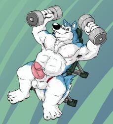 anthro armpit_hair balls bench bodily_fluids body_hair canid canine canis clothing clothing_aside domestic_dog dumbbell exercise exile_(road_rovers) genitals hi_res holding_dumbbell humanoid_genitalia humanoid_penis husky looking_at_viewer male male/male mammal muscular muscular_anthro muscular_male nipples nordic_sled_dog nude overweight overweight_anthro overweight_male penis red_clothing red_underwear sdawg solo spitz sweat underwear underwear_aside weight_bench weightlifting weights workout