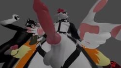 3d animated anthro anthro_only black_fur canid canine dark_fur fox fur furry furry_only light_belly male mp4 naughtyblackfox no_sound tagme twitter video vr_media vrchat vrchat_avatar white_belly white_fur