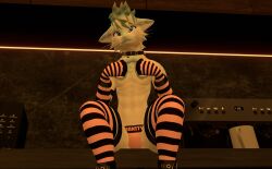 anthro anthro_only arm_warmers blue_fur canid canine fur furry furry_only jockstrap leg_warmers light_belly male male_only no_vanity rexouium tagme twitter url vr_media vrchat warmers white_belly white_fur