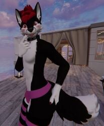 3d anthro anthro_only black_fur canid canine dark_fur fox fur furry furry_only light_belly male naughtyblackfox tagme twitter vr_media vrchat vrchat_avatar white_belly white_fur