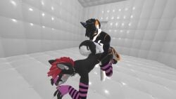 3d animated anthro anthro_only black_fur canid canine dark_fur fox fur furry furry_only light_belly male mp4 naughtyblackfox sound tagme twitter video vr_media vrchat vrchat_avatar white_belly white_fur