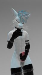 anthro anthro_only blue_fur canid canine fur furry furry_only light_belly male_only no_vanity rexouium tagme twitter url vr_media vrchat white_belly white_fur