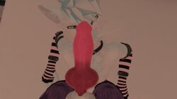 3d animal_genitalia animal_genitals animal_penis anthro anthro_only balls bleatmeoff blue_fur canid canine canine_genitalia canine_genitals canine_penis erect erect_penis erection fur furry furry_only knot light_belly male male/male male_only no_vanity penis red_penis rexouium tagme twitter url vr_media vrchat vrchat_avatar white_belly white_fur