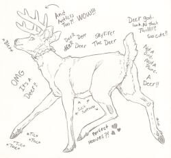 antlers capreoline cervid cervine collar feral fluffy hi_res hooves horn male mammal skyfifer skyfifer_(character) solo tongue tongue_out white-tailed_deer