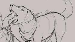 canid canine digital_drawing_(artwork) feral human/feral human_on_feral male male/ambiguous manahallowhound oral pants penis_on_tongue sketch snout tail teeth
