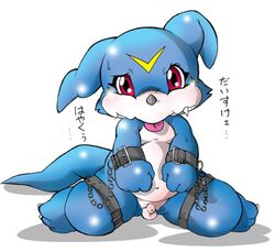 Bondage Rule 34 Image