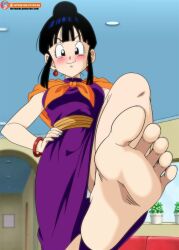 chichi from dragon ball by foxybulma