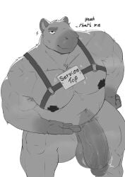 anthro anthro_only balls bara big_penis capybara chubby chubby_male english_text flaccid fur furry gay looking_at_viewer male_tits monochrome nude nude_anthro nude_male pecs penis prostitution service service_top solo solo_male text thick_thighs thisishomo