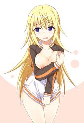 charlotte dunois from infinite stratos by katsuo
