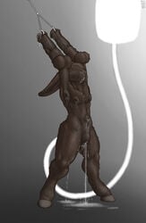 1boy anii balls closed_eyes cum dark_skin diphallia diphallism equine erection fur furry furry_only gay horsecock hybrid lagomorph male mot multi_balls multi_genitalia multi_penis penis penis_arm penis_limb piercing rabbit testicles veins veiny_penis what