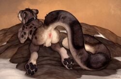 2025 4_toes all_fours anchee animal_genitalia anthro anus ass balls collar collar_only digital_media_(artwork) feet felid fur genitals grey_body grey_fur grey_tail hi_res male mammal nude nude_anthro nude_male outside pantherine pawpads paws penis rear_view sheath snow_leopard solo tail toes tongue tongue_out