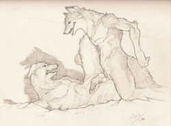 2011 anal anal_sex anthro balls canine fur furry gay male nude on_side penetration penis raised_leg sex sketch slash0x wolf