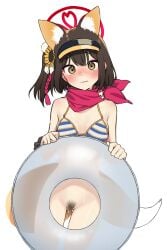 absurdres animal_ears ass_visible_through_thighs bikini bikini_top_only blue_archive blush bottomless brown_hair commentary_request female female_pubic_hair flower fox_ears fox_girl fox_tail hair_flower hair_ornament halo highres innertube izuna_(blue_archive) izuna_(swimsuit)_(blue_archive) looking_at_viewer nose_blush official_alternate_costume pubic_hair pussy red_halo saragebu simple_background solo striped_bikini striped_clothes sunflower sunflower_hair_ornament sweatdrop swim_ring swimsuit tail uncensored visor_cap white_background yellow_eyes