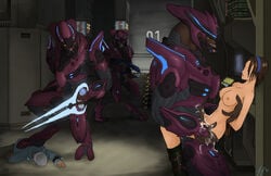 digitigrade elite female halo_(series) male nude sangheili