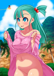 bulma briefs from dragon ball by hachi menou