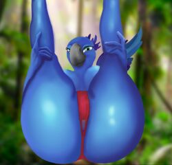 alphapenguin anthro anus ass beak bird blue_feathers female green_eyes jewel_(rio) legs_up rio_(film) rio_(series) tail