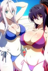 akeno_himejima bikini demon_girl high_school_dxd high_school_dxd_hero passione_(company) rossweisse screencap screenshot