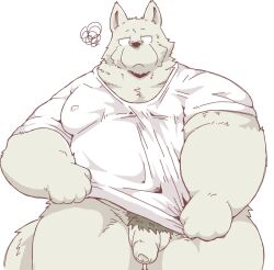 2022 anthro balls belly canid canine canis domestic_dog flaccid genitals grey_body hi_res humanoid_genitalia humanoid_hands humanoid_penis kemono male mammal overweight overweight_male penis pubes simple_background solo suishou0602