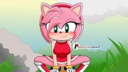 amy_rose animated blush cowgirl_position daniark female female_penetrated furry green_eyes male mp4 no_panties no_sound patreon pink_skin red_dress self_upload sex sonic_(series) sonic_the_hedgehog sonic_x vaginal_penetration video