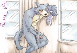 anthro beastars blush bodily_fluids canid canine canis clothing digital_media_(artwork) drooling erection fur genital_fluids genitals grey_body grey_fur humanoid_genitalia humanoid_penis jockstrap kinktober kinktober2022 lavilovi legoshi_(beastars) looking_at_viewer male mammal nude open_mouth page_9 penis precum pubes saliva solo underwear wolf