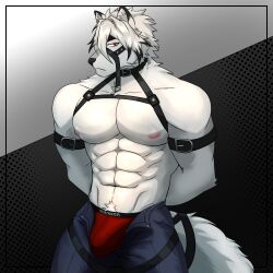 2022 absurd_res anthro artist_name border bulge canid canine canis clothed clothing fur hands_behind_back harness hi_res inner_ear_fluff male male_only mammal mihoyo muscular muscular_male nnknwnn_(artist) red_clothing red_eyes red_underwear solo topless topless_male tuft unbuttoned_pants underwear unimpressed video_games von_lycaon white_body white_fur wolf zenless_zone_zero