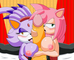 amy_rose anthro blaze_the_cat breasts cat chaossabre color feline female fur furry green_eyes headband hedgehog interspecies large_breasts licking licking_penis male multiple_females nipples paizuri penis penis_lick penis_licking short_hair sonic_(series) straight titfuck titjob uncensored