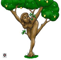 1girls 2005 brown_eyes brown_hair female female_only human human_only leaves lemachi lemon looking_down nude original plant_girl signature story_in_description tagme transformation tree tree_girl what white_background