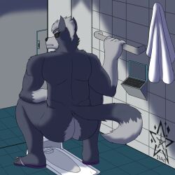 anthro ass bathroom canid canine canis clothing crouching digital_drawing_(artwork) digital_media_(artwork) eye_patch eyewear fafnir_stardust_(artist) feet footwear fur hi_res humanoid_feet male male_only mammal multicolored_body multicolored_fur nintendo sandals solo squat_toilet squatting star_fox toilet toilet_use two_tone_body two_tone_fur video_games wolf wolf_o'donnell