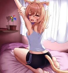 1girl ahoge animal_ear_fluff animal_ears armpits arms_up ass bangs bare_shoulders barefoot bed bed_sheet bike_shorts black_shorts blush breasts brown_hair cat_ears cat_tail catgirl curtains eyebrows_visible_through_hair face_markings facial_mark fang feet flower fox_ears fox_tail full_body hair_between_eyes indoors long_hair looking_at_viewer looking_back on_bed one_eye_closed open_mouth pietrosatou pillow plant potted_plant shorts sitting sleeveless small_breasts soles squchan_(vtuber) stretch tail tank_top vase virtual_youtuber vtuber vyugen wariza white_tank_top window