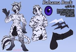 anthro bahama_buck balls big_balls big_penis equid equine fur genitals hair hair_over_eye hi_res long_tail male mammal model_sheet multicolored_body multicolored_fur multicolored_hair muscular muscular_male nude one_eye_obstructed penis solo zebra