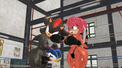 3d balls black_fur black_penis boxing_gloves boxing_ring boxingfan12 bra echidna eyelashes female female_domination femdom hedgehog holding_penis lien-da male multicolored_fur nude nude_male penis punch sega shadow_the_hedgehog sonic_(series) sonic_the_hedgehog_(archie) sonic_the_hedgehog_(series) thick_thighs