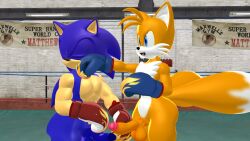 2boys 3d boxing boxing_gloves boxing_ring boxingfan12 highres male maledom muscular_male nude penis punch sega sonic_(series) sonic_the_hedgehog sonic_the_hedgehog_(series) tail