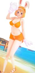 carrot (one piece) from one piece by jyueng