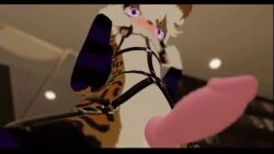 3d animated chillout_vr femboy furry looking_at_viewer maplekitty maplekitty_(character) mp4 no_sound penis video vrchat