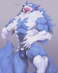 1boy anthro capcom captainjohkid darkstalkers gallon hi_res jon_talbain licking_lips looking_at_viewer male male_only muscles muscular muscular_male open_mouth penis_bulge sharp_claws sharp_teeth simple_background smiling_at_viewer solo thong thong_only underwear vampire_savior voluptuous werewolf yellow_eyes