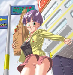 bulma_briefs dragon_ball dragon_ball_z female female_only going_commando grocery_bag grocery_shopping human no_panties shopping shopping_bag solo tagme