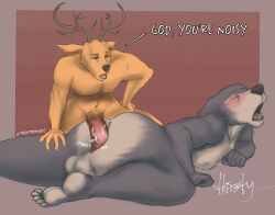 absurd_res anal anal_sex anthro antlers ass balls beastars big_butt big_penis blush brown_nose canid canine canis cervid cervine chest_tuft duo fur gape_fart genitals grey_body grey_fur hand_on_hip hand_on_leg hand_on_thigh hi_res horn huge_cock larger_male legoshi_(beastars) loud_sex louis_(beastars) lying male male/male male_penetrated male_penetrating male_penetrating_male mammal moan nipples noise nude on_front open_mouth penetration penis pubes red_deer sex sideways simple_background size_difference small_dom_big_sub smaller_male squelching text thirstydraws tuft wolf