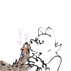 anthro canid canine canis cock_kiss duo felid feline fellatio genitals hi_res licking male male/male mammal mevka_(artist) neck_tuft oral penile penis penis_lick romantic romantic_couple sex storyteller_missed_opportunities tongue tongue_out tuft wolf